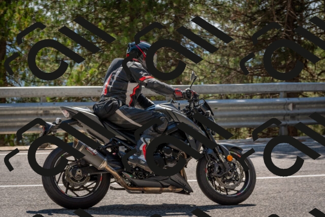 202508091438-DSC_3563_c4_