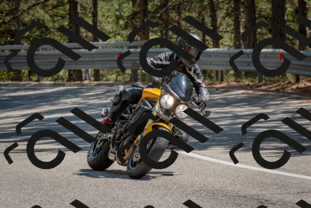 202508091440-DSC_3564_c4_