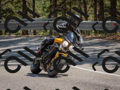 202508091440-DSC_3564_c4_