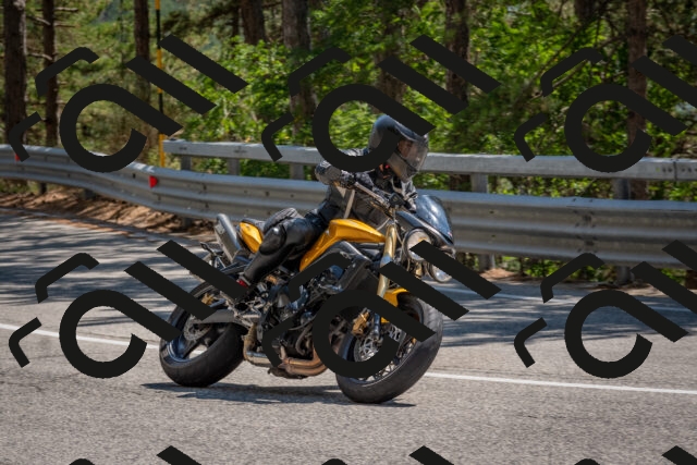 202508091440-DSC_3565_c4_