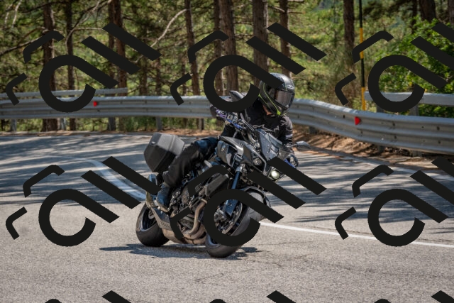 202508091441-DSC_3571_c4_