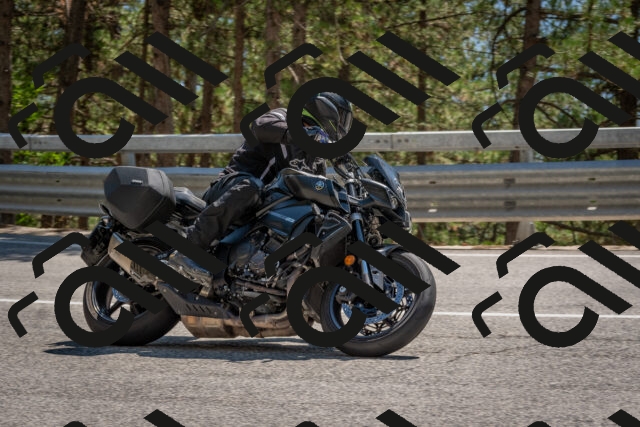 202508091441-DSC_3572_c4_