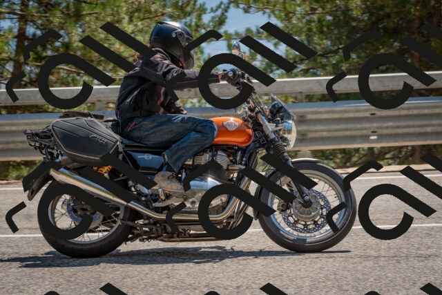 202508091442-DSC_3576_c4_