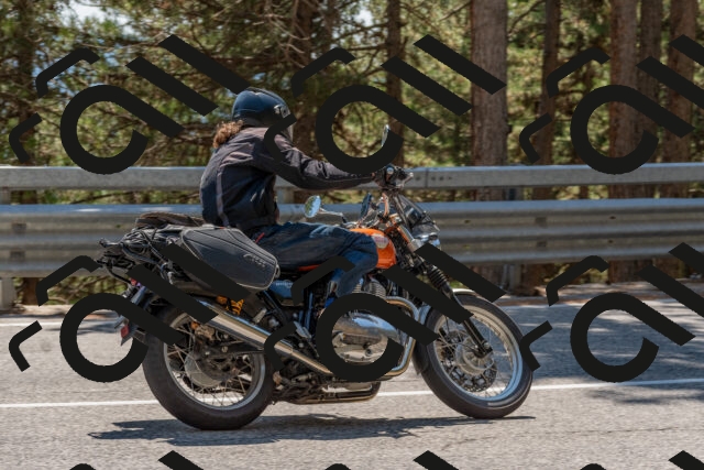 202508091442-DSC_3577_c4_