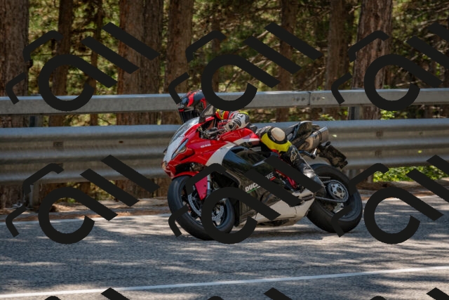 202508091442-DSC_3578_c4_