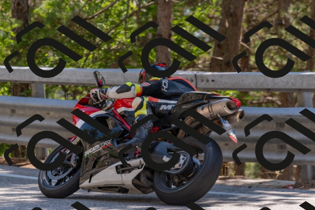 202508091442-DSC_3580_c4_