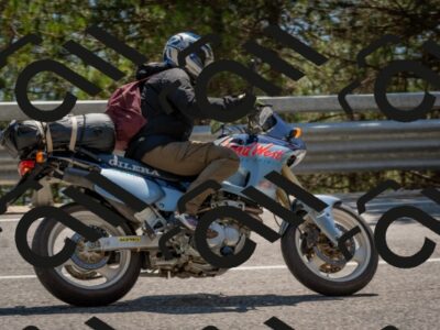 202508091442-DSC_3583_c4_