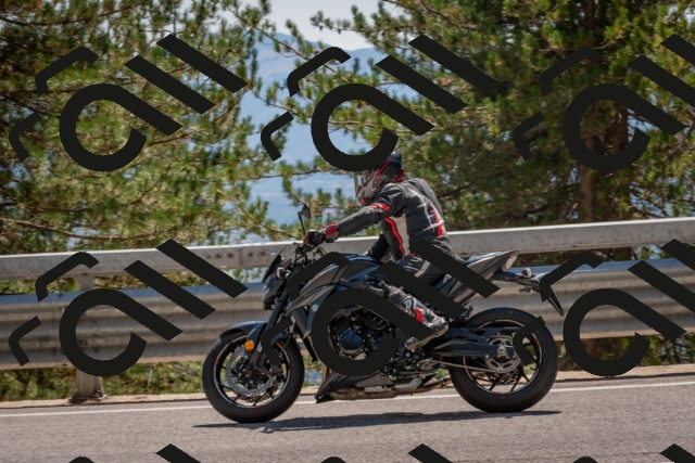 202508091446-DSC_3585_c4_