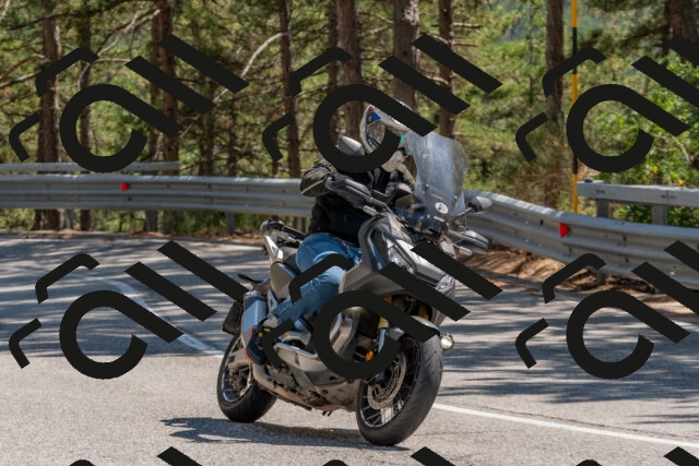 202508091446-DSC_3587_c4_