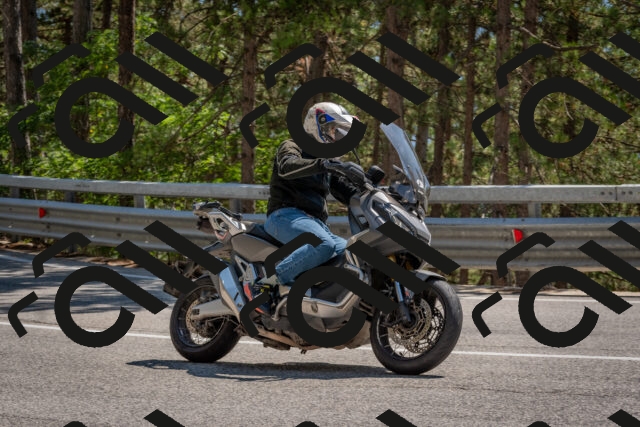 202508091446-DSC_3588_c4_