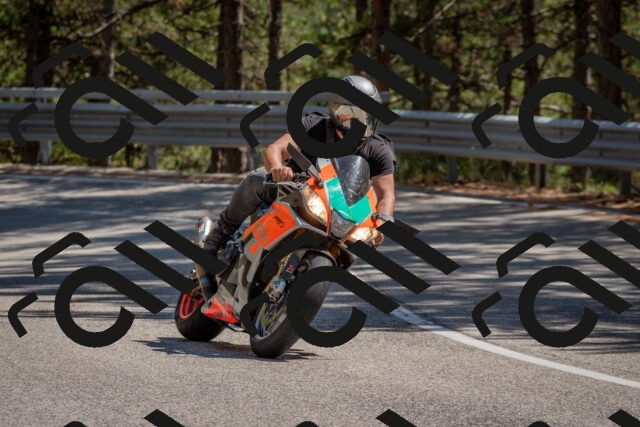 202508091447-DSC_3590_c4_