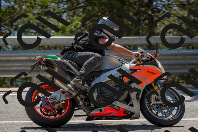 202508091447-DSC_3592_c4_