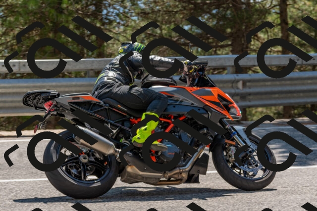 202508091447-DSC_3594_c4_