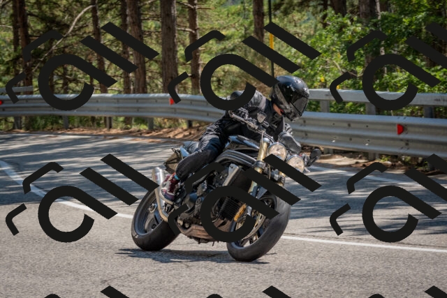 202508091447-DSC_3595_c4_