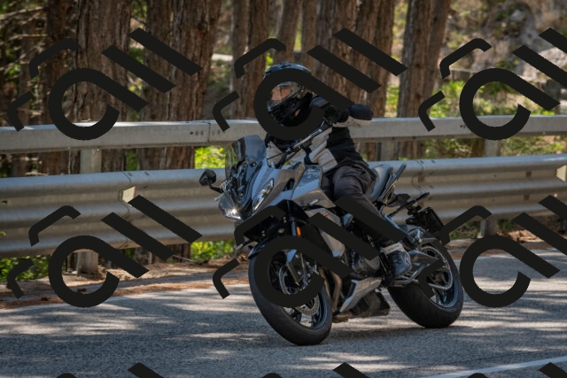 202508091447-DSC_3598_c4_