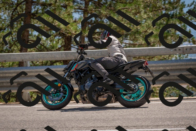 202508091447-DSC_3602_c4_