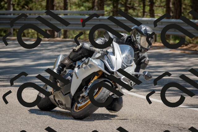 202508091449-DSC_3605_c4_