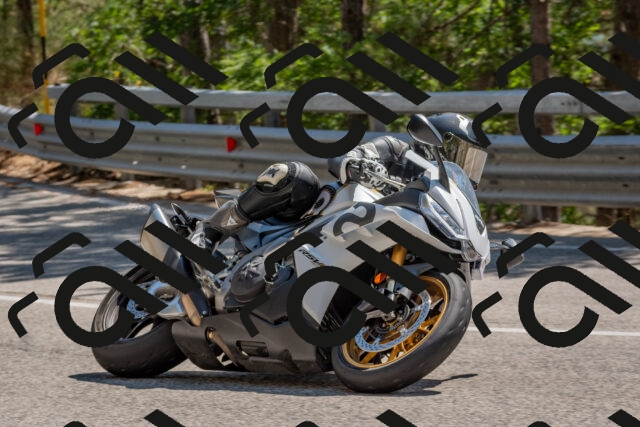 202508091449-DSC_3606_c4_