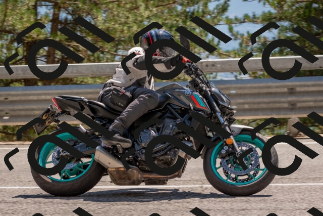 202508091449-DSC_3612_c4_