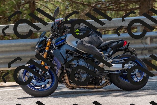 202508091449-DSC_3614_c4_