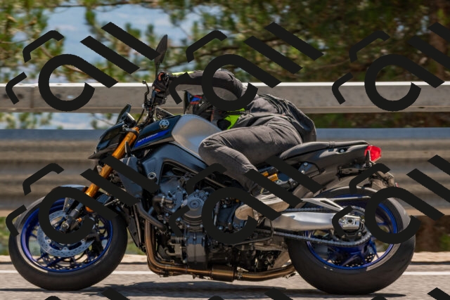 202508091449-DSC_3615_c4_