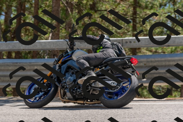 202508091449-DSC_3616_c4_