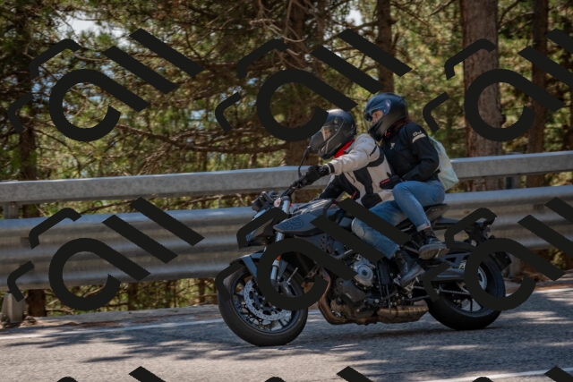 202508091450-DSC_3620_c4_