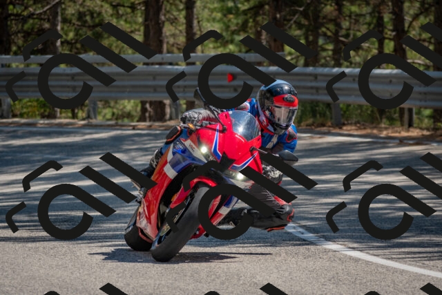 202508091451-DSC_3623_c4_