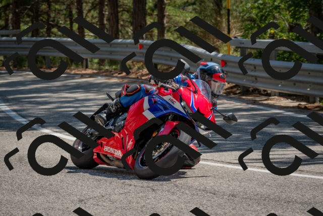 202508091451-DSC_3624_c4_