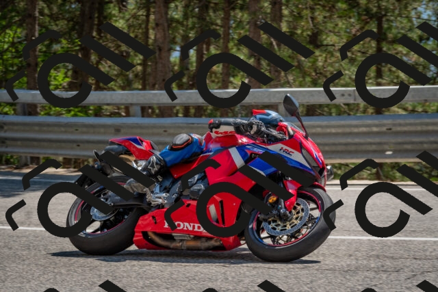 202508091451-DSC_3625_c4_