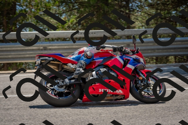 202508091451-DSC_3626_c4_