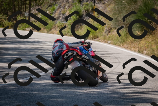 202508091451-DSC_3627_c4_