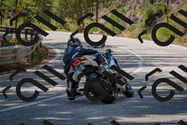 202508091451-DSC_3633_c4_