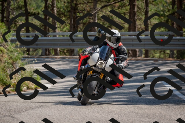 202508091451-DSC_3634_c4_