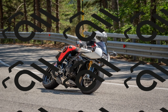 202508091451-DSC_3636_c4_