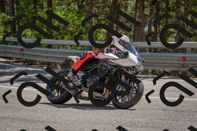 202508091451-DSC_3637_c4_