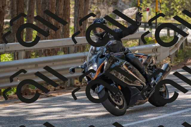 202508091453-DSC_3641_c4_