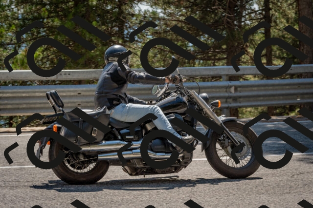 202508091453-DSC_3649_c4_