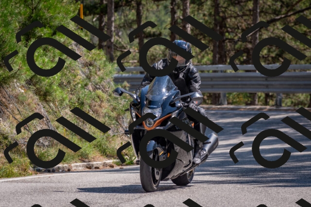 202508091454-DSC_3650_c4_