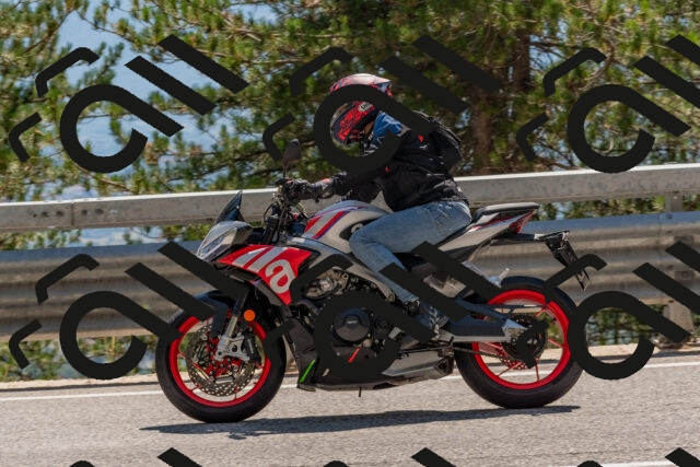 202508091456-DSC_3655_c4_