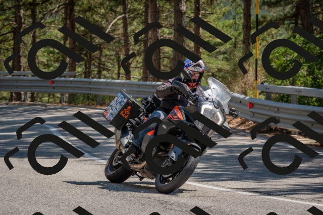 202508091457-DSC_3657_c4_