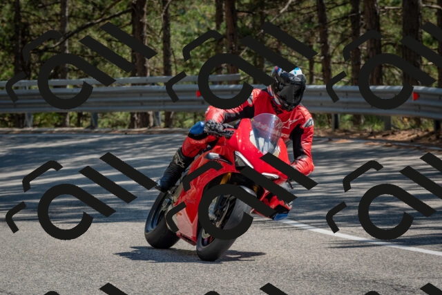 202508091457-DSC_3660_c4_