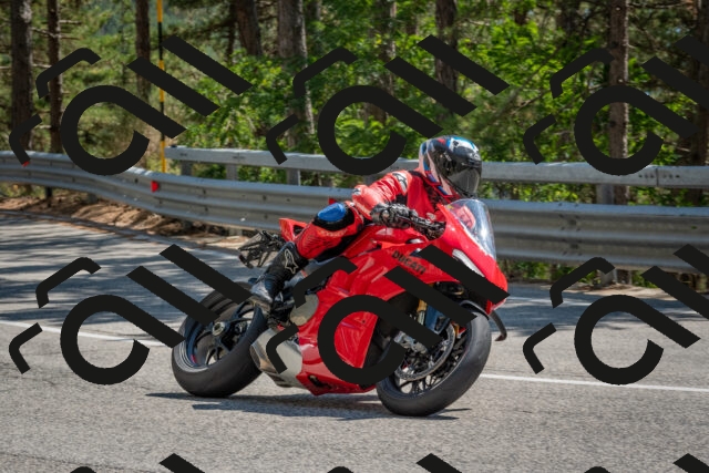 202508091457-DSC_3661_c4_