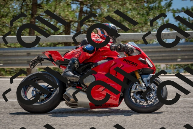 202508091457-DSC_3662_c4_