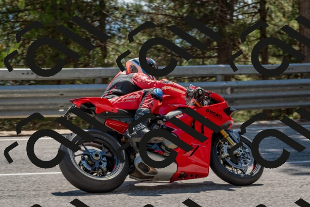 202508091457-DSC_3663_c4_