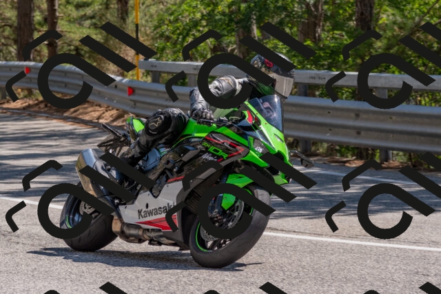 202508091457-DSC_3664_c4_