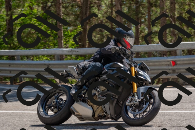 202508091458-DSC_3666_c4_