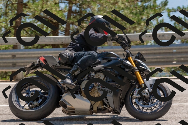 202508091458-DSC_3667_c4_