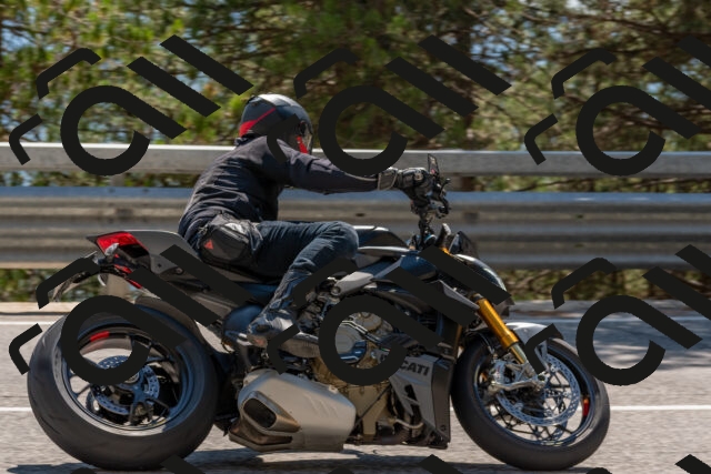 202508091458-DSC_3668_c4_