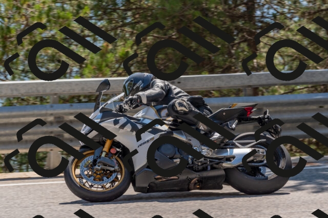 202508091500-DSC_3677_c4_